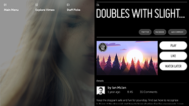 Vimeo - Details Panel